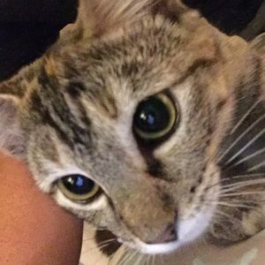 Meet your Posher, Caden