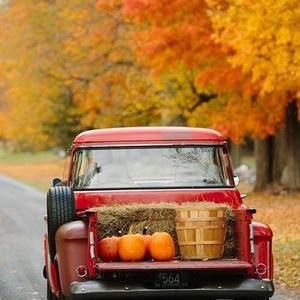 Meet your Posher, Jena