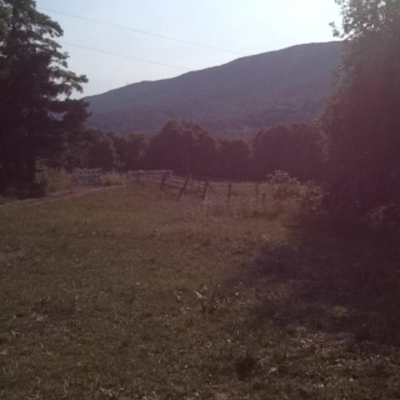 Meet your Posher, Monja - Picture 1 of 1