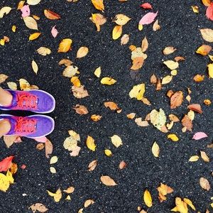 Meet your Posher, Zheng