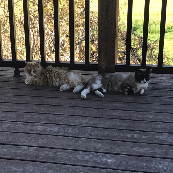 NOT FOR SALE - Picture 5 of 7