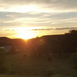 Meet your Posher, Janet