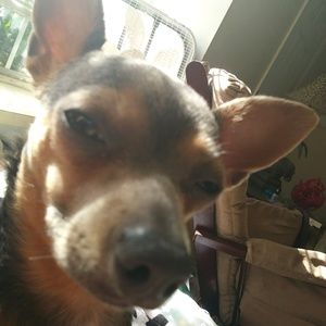 Meet your Posher, Kathy