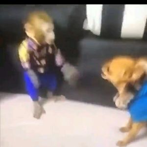 Meet your Posher, Jay