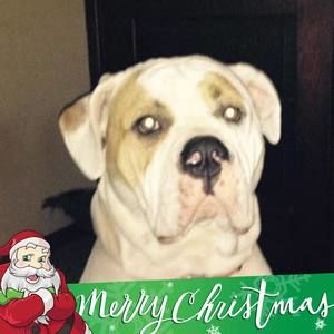 Meet your Posher, Janet