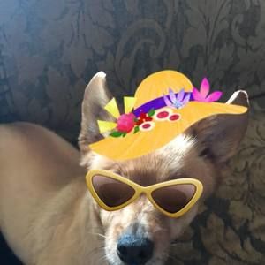 Meet your Posher, Dana