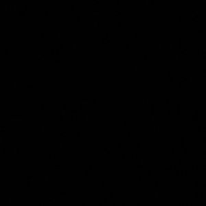 Meet your Posher, Devin