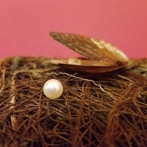 Freshwater oysters pearl