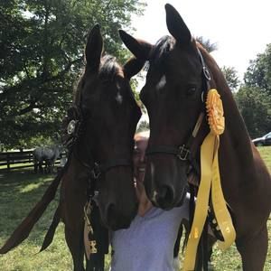 Meet your Posher, Heather