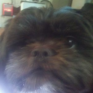 Meet your Posher, Kathy