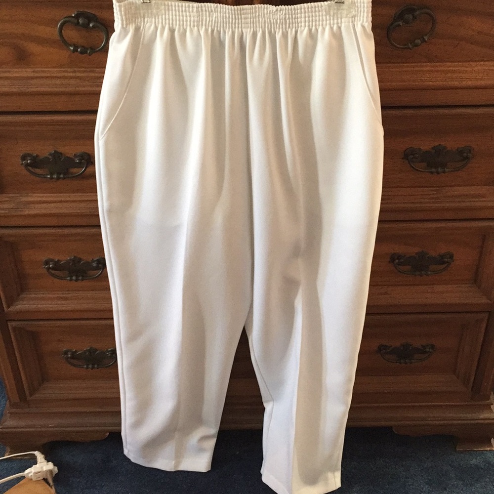 Briggs Dress Pants