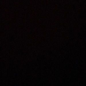 Meet your Posher, Pedro