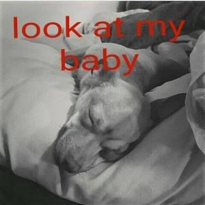 Meet your Posher, Sammy