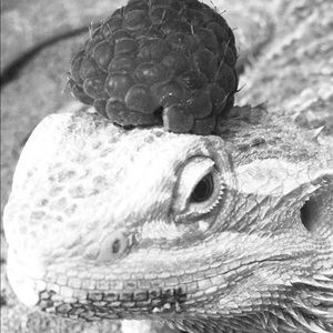 Meet your Posher, Karla