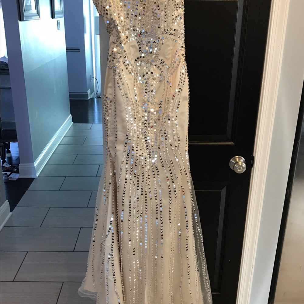 Evening gown / prom dress.