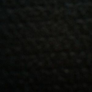 Meet your Posher, Lydia