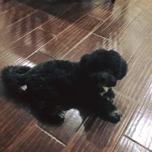 Meet your Posher, Mark neil