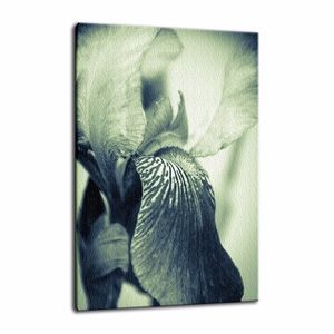 Abstract Japanese Iris Delight Fine Art Canvas