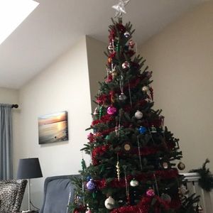 Meet your Posher, Jean