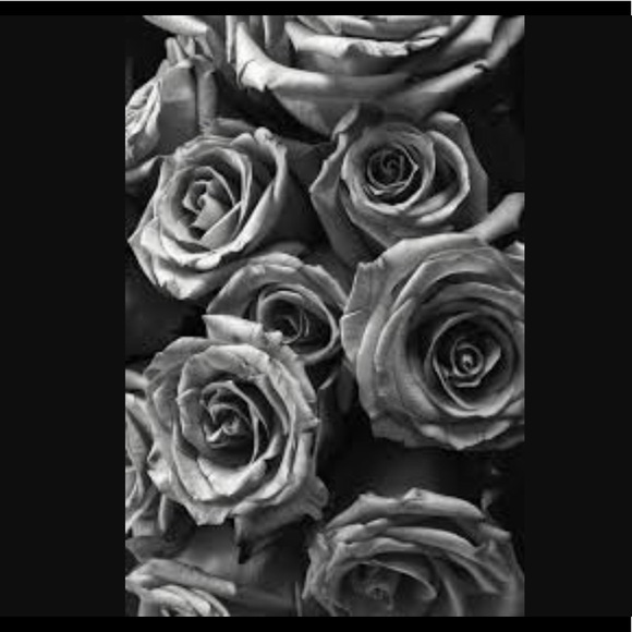 Meet your Posher, Matthew - Picture 1 of 1