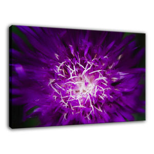 Abstract Flower Limited Edition Fine Art Canvas