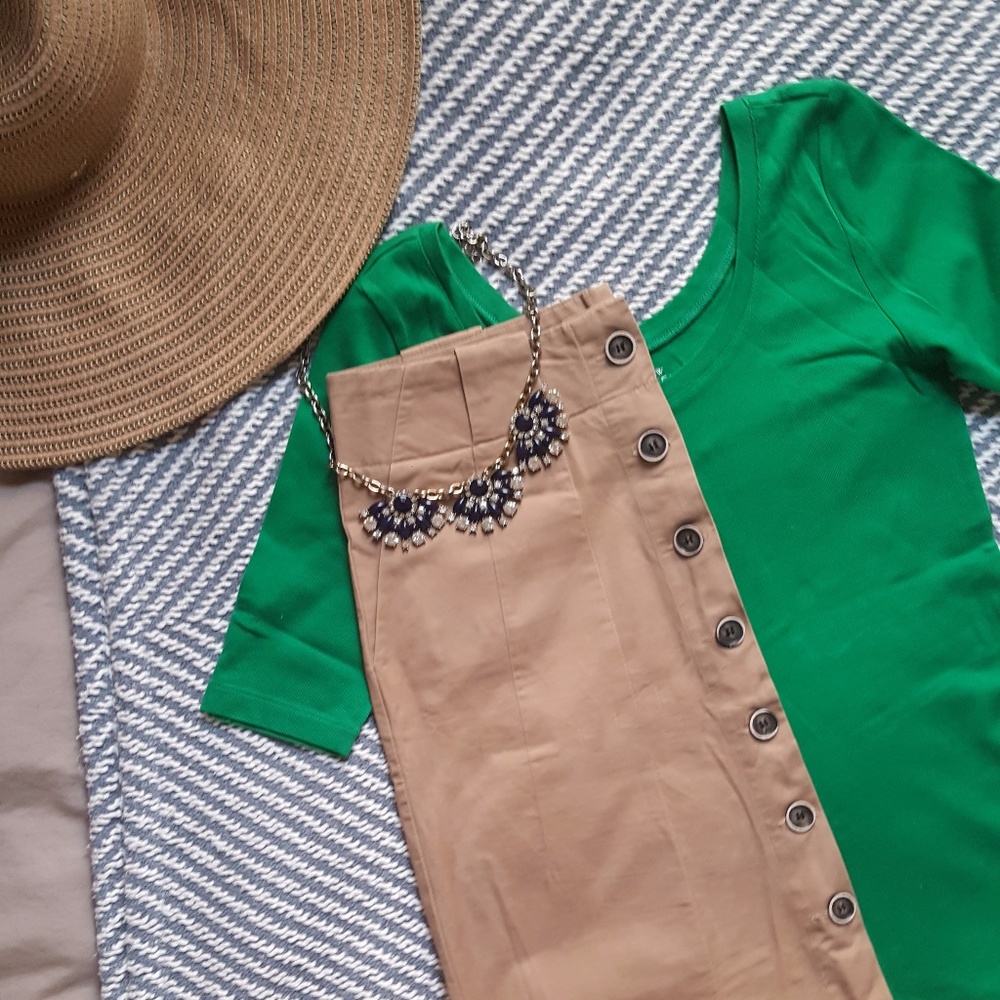 Zara Button Front A-Line Skirt