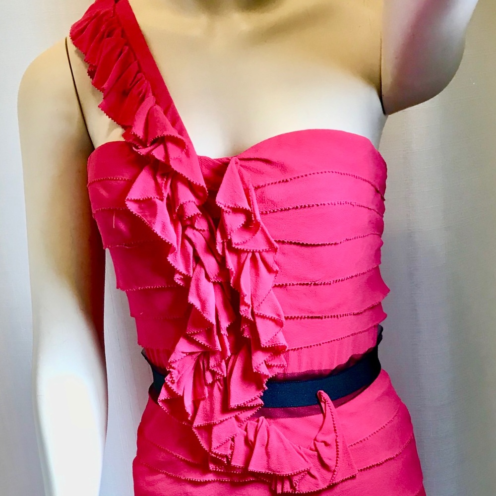 BCGB ROSE SILK BUSTIER  made for Alexa Rae Joel 4P
