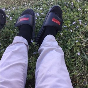 Meet your Posher, Lacy