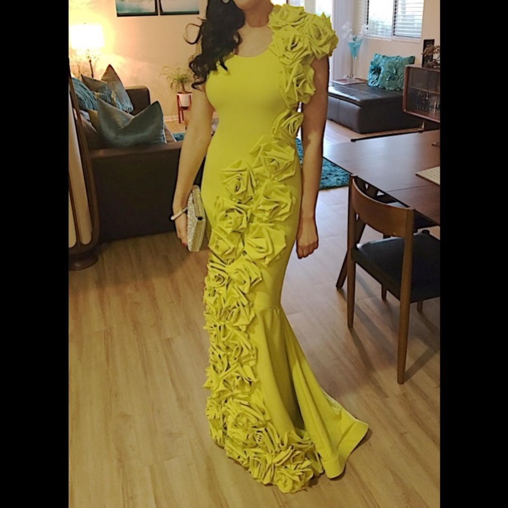 Beautiful Goga Couture gown