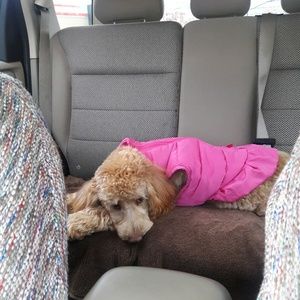 Meet your Posher, Deann