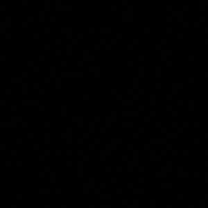 Meet your Posher, Jas