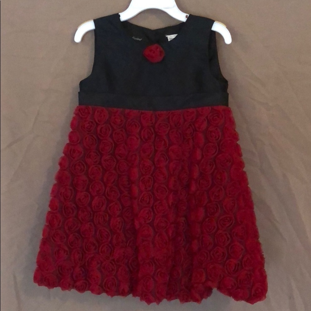 Velvet Rose 🌹 and Black Dress 👗