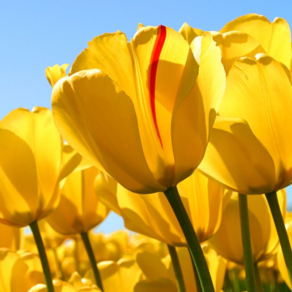 Meet your Posher, Christy