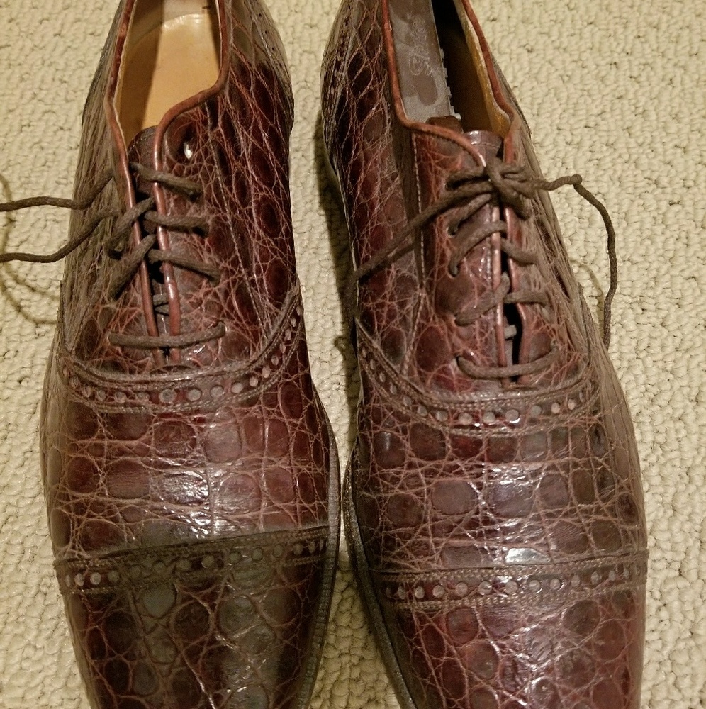 Find Ralph Lauren polo alligator croc shoes