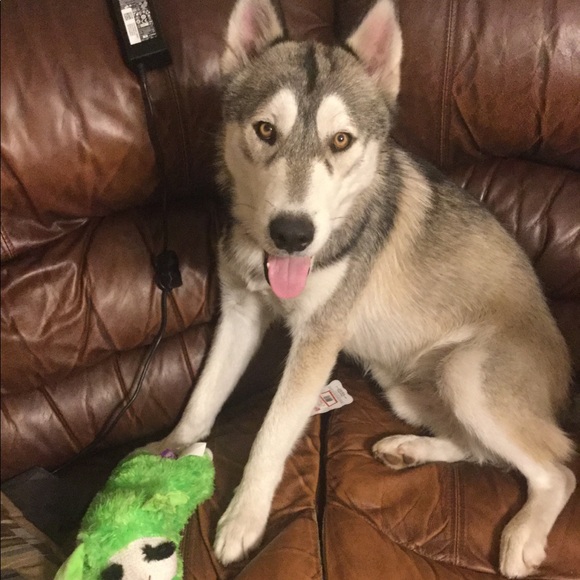 Meet your Posher, Kayla - Picture 1 of 1