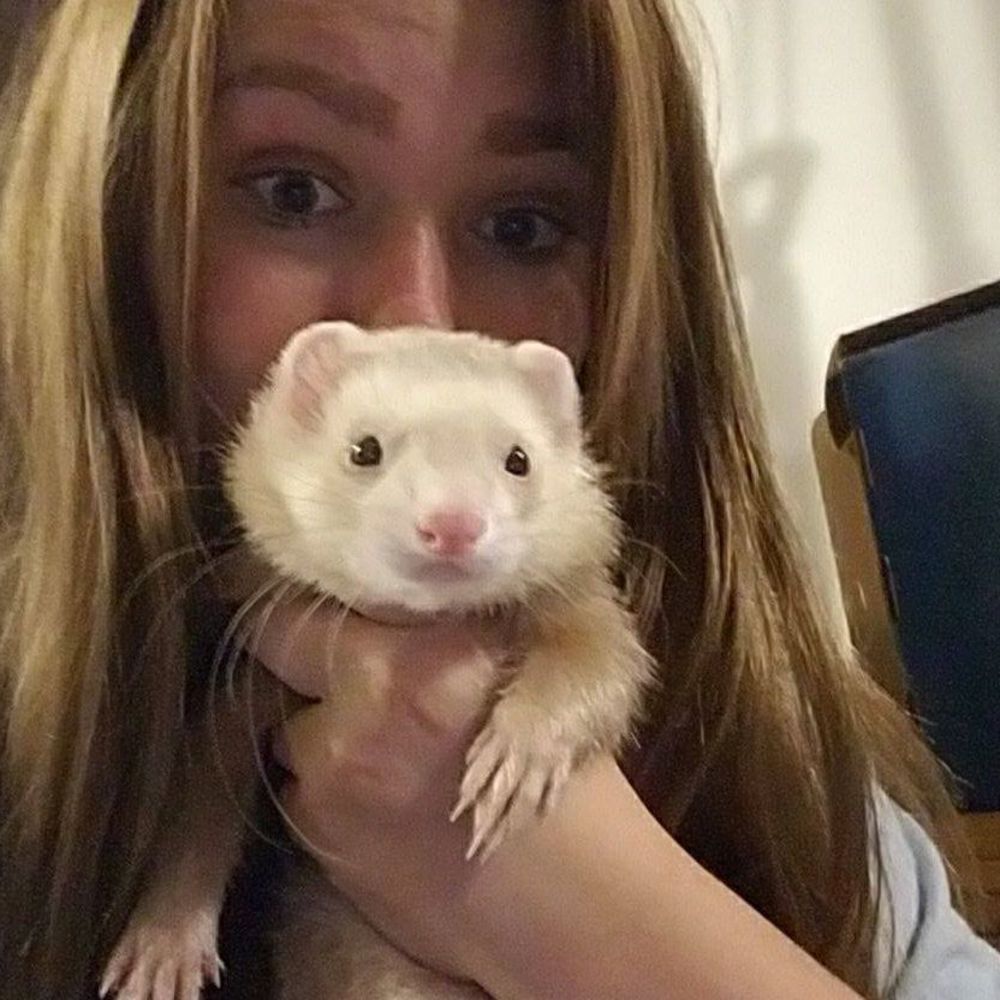 Meet your Posher, Rhiannon