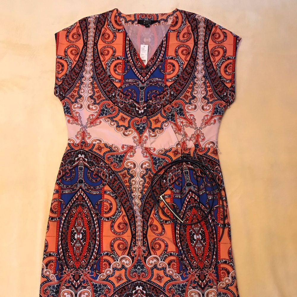 Alex Marie dress