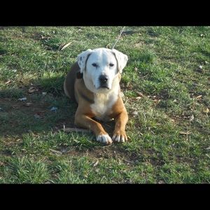 Meet your Posher, Janet