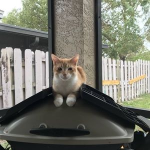 Meet your Posher, Chris