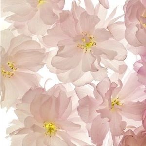 Meet your Posher, Kelsie