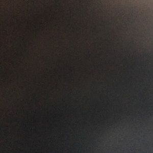 Meet your Posher, Precious