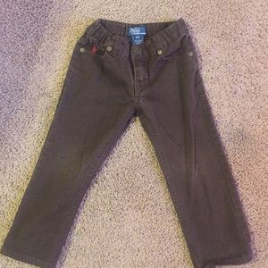 Brown polo jeans 3t