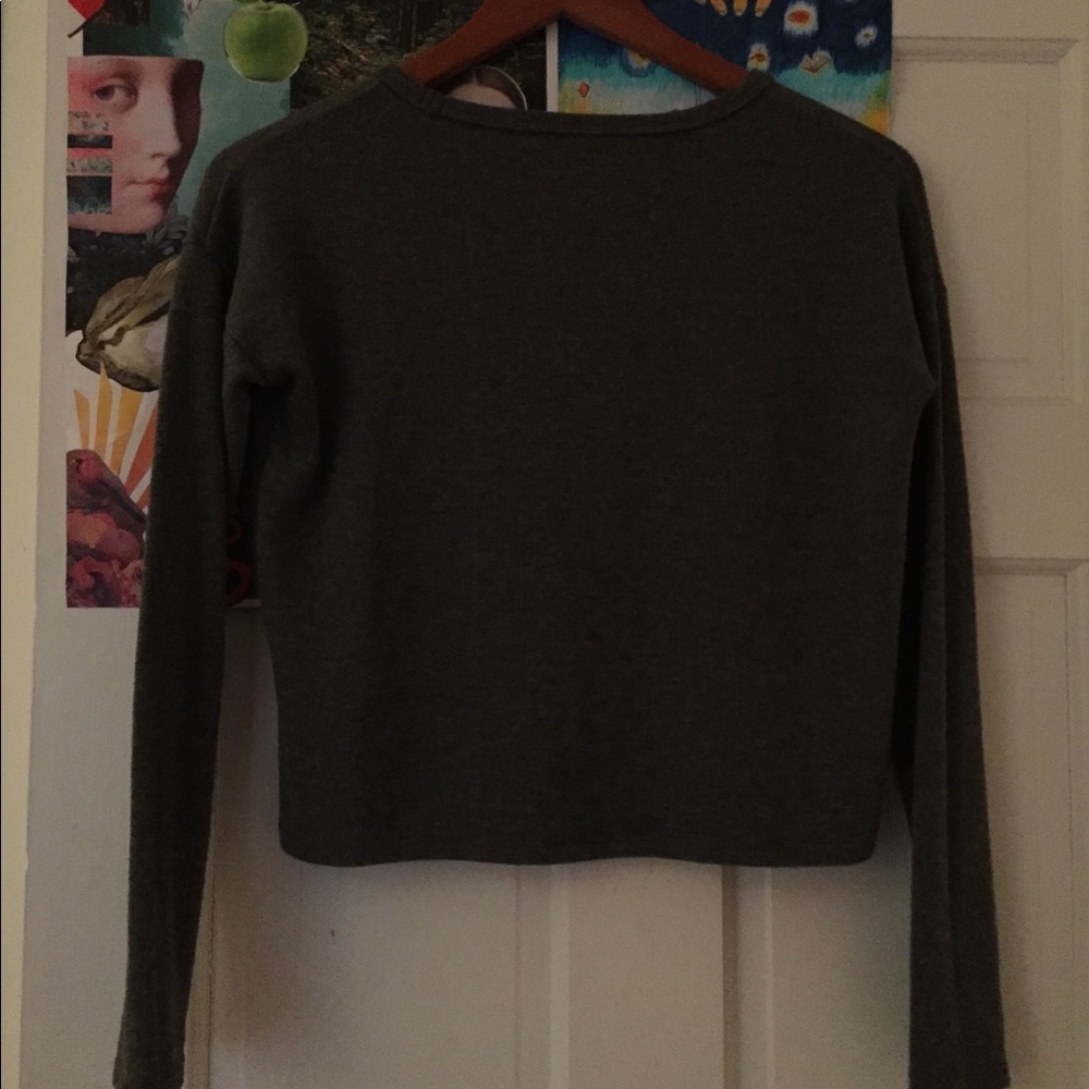 Gray Brandy Melville long-sleeve crop top - Picture 1 of 3