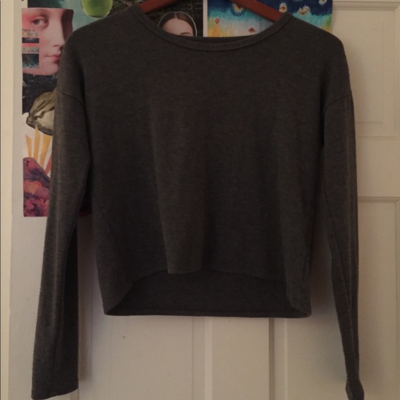 Gray Brandy Melville long-sleeve crop top - Picture 2 of 3