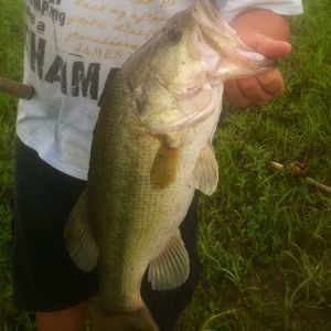 Meet your Posher, Ethan