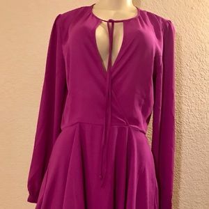 Gianni Bini nwot long sleeve dress