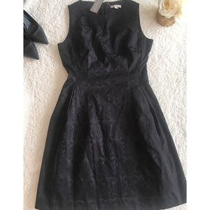 Eva Mendez NY&Co Black Cocktail Dress