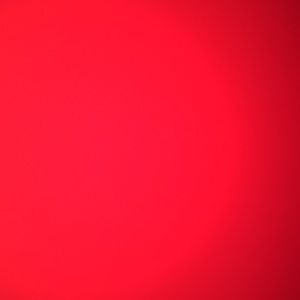 Meet your Posher, Jake