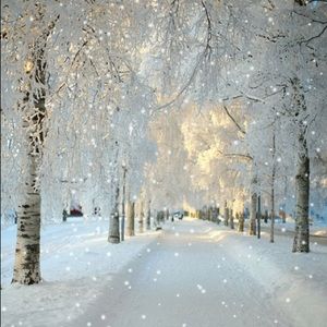 Meet your Posher, Joyce