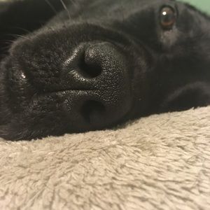 Meet your Posher, Jordan